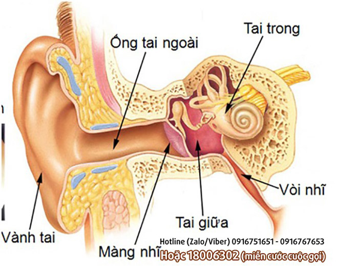 5 “thủ phạm” lớn gây mất thính lực: Không phải ai cũng biết!? - 2